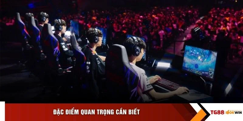 Đặc điểm quan trọng cần biết